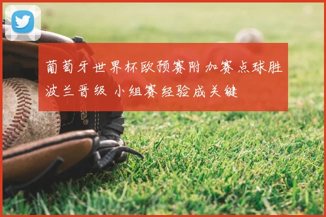 葡萄牙世界杯欧预赛附加赛点球胜波兰晋级 小组赛经验成关键