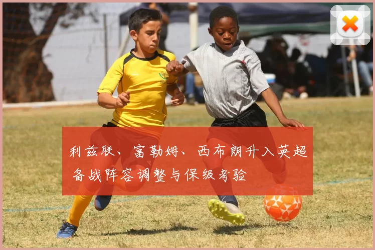 利兹联、富勒姆、西布朗升入英超 备战阵容调整与保级考验