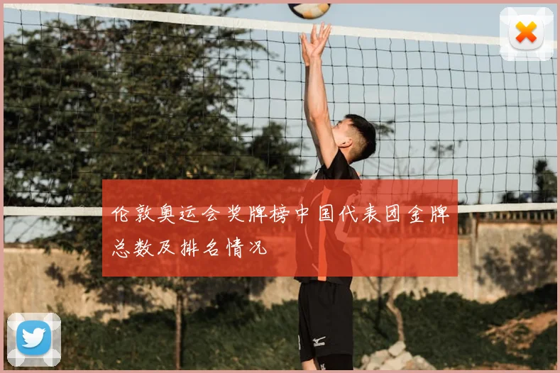 伦敦奥运会奖牌榜中国代表团金牌总数及排名情况