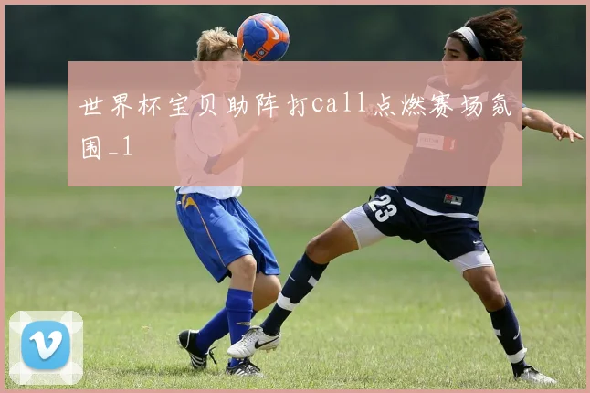 世界杯宝贝助阵打call点燃赛场氛围_1