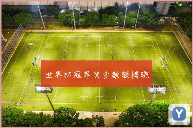 世界杯冠军奖金数额揭晓