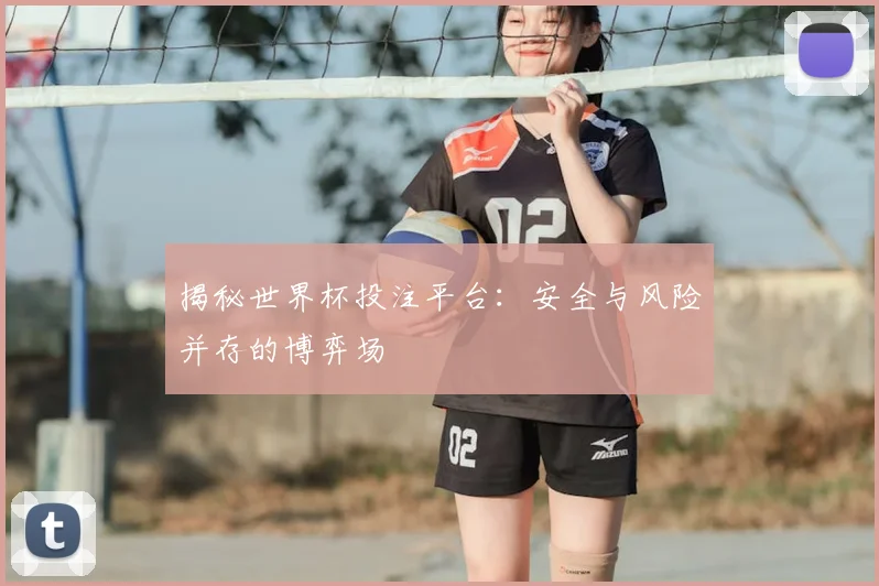 揭秘世界杯投注平台：安全与风险并存的博弈场