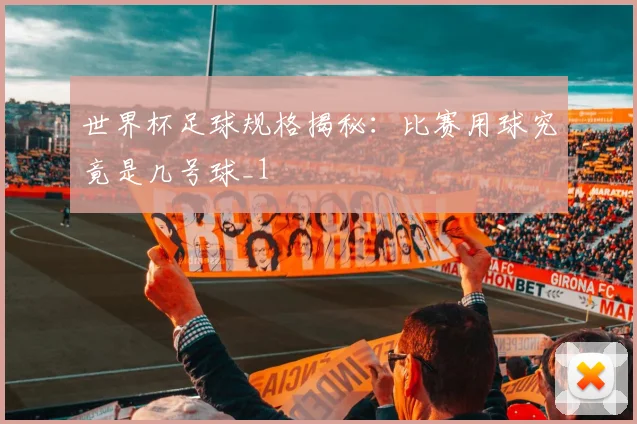 世界杯足球规格揭秘：比赛用球究竟是几号球_1