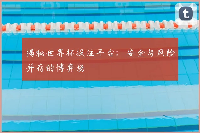 揭秘世界杯投注平台：安全与风险并存的博弈场
