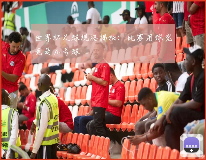 世界杯足球规格揭秘：比赛用球究竟是几号球_1